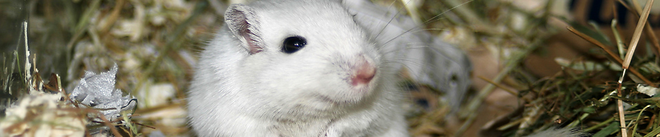 bild001_m.jpg